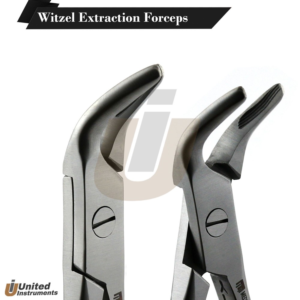 Dental Witzel Extraction Forceps #223 Lower Molar Tooth Root Extracting Plier