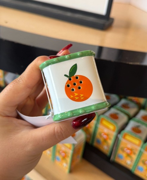 NEW🌟Disney 2026 Epcot Flower & Garden Festival Orange Bird Salt Pepper Shaker