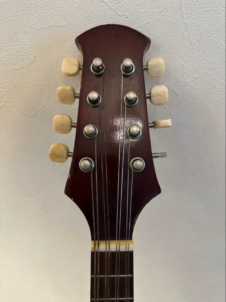 Suzuki Violin Mandolin No.225