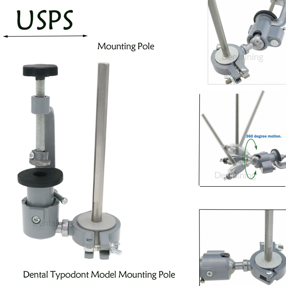 US Columbia Dentoform 860 Dental Study Model 32 Replace Teeth Mounting Pole