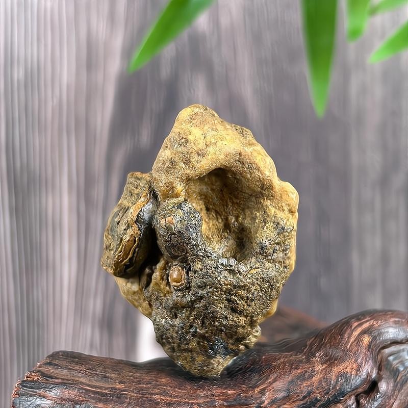 China Inner Mongolia Gobi Rough Agate Specimen