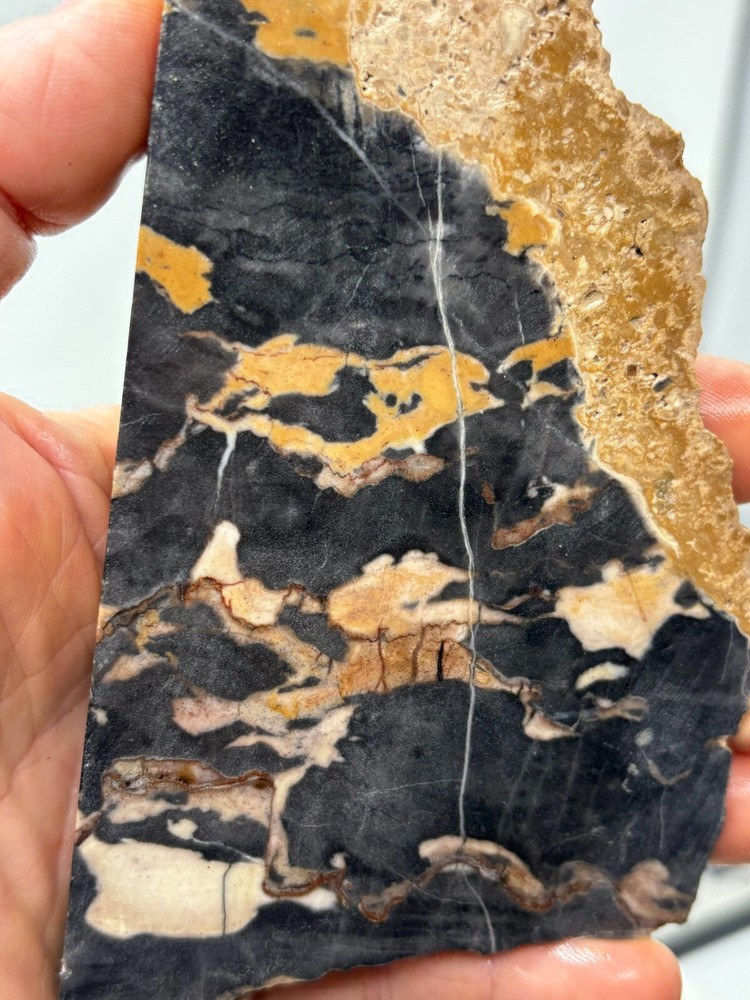 Large Roan Leopard Marble Rough Slab Cabbing Lapidary Combo Ship Avail