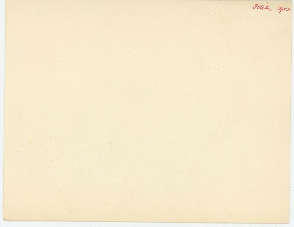 Lockheed Neptune Formation 1953 Photo, HE830