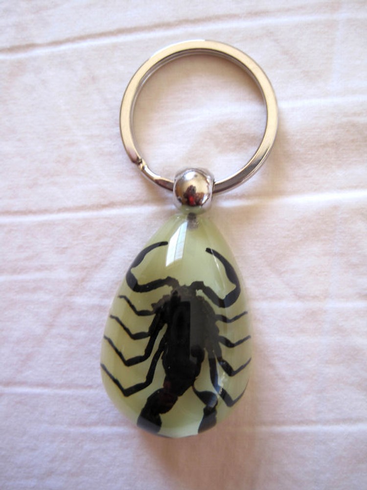 Deadly Black Scorpion in lucite Stainless Key Ring