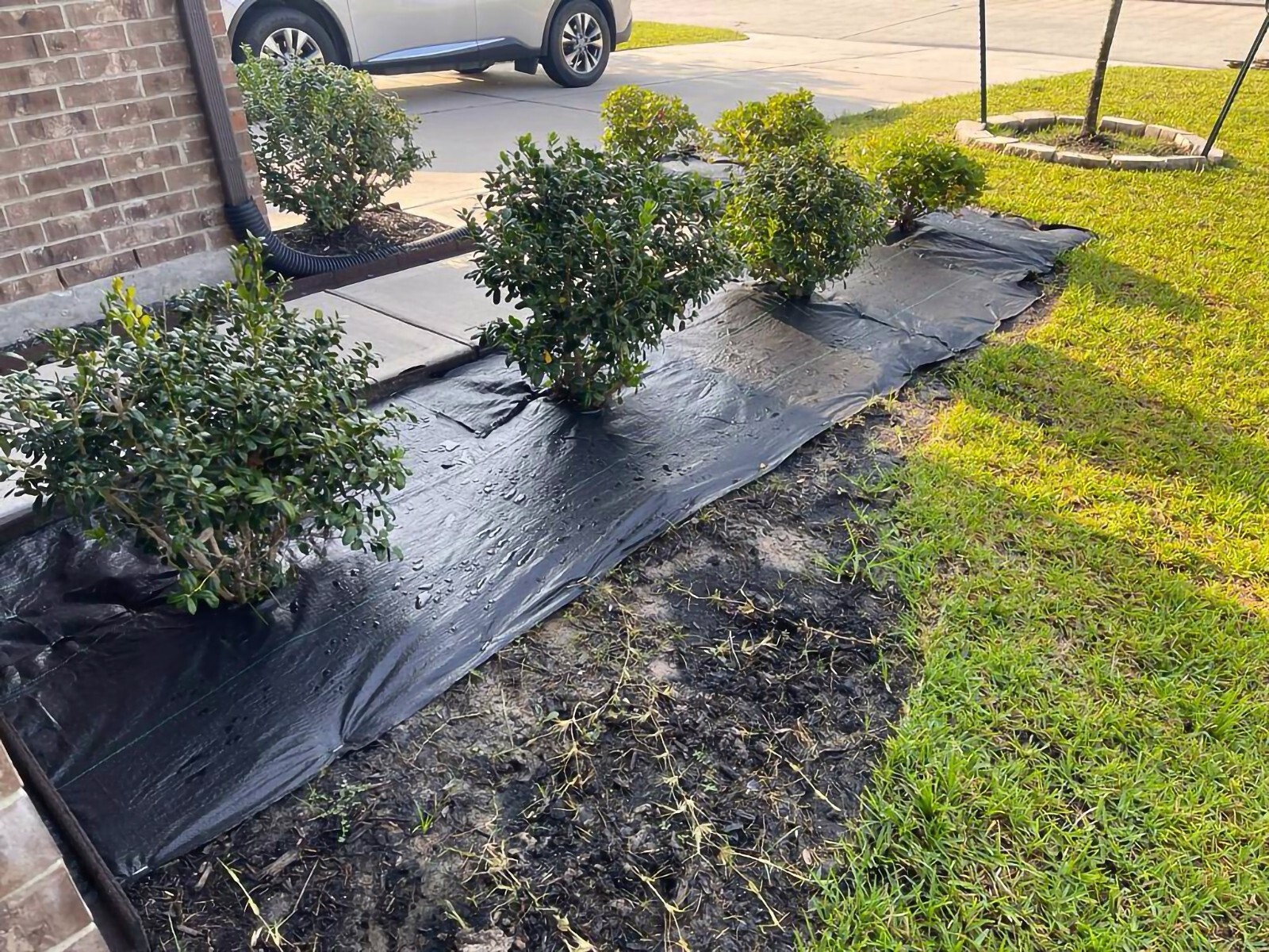 Heavy Duty Landscape Fabric 3.5 oz, Weed Barrier Garden Mat, Different Sizes