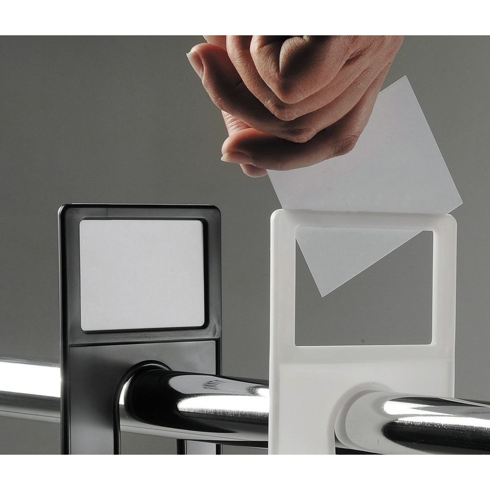 Divider Insert Cards, Blank