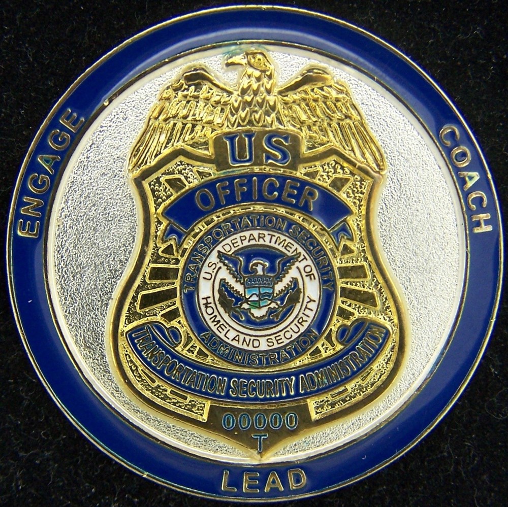 TSA Officer Transportation Security Administration Blue Version Lapel Pin