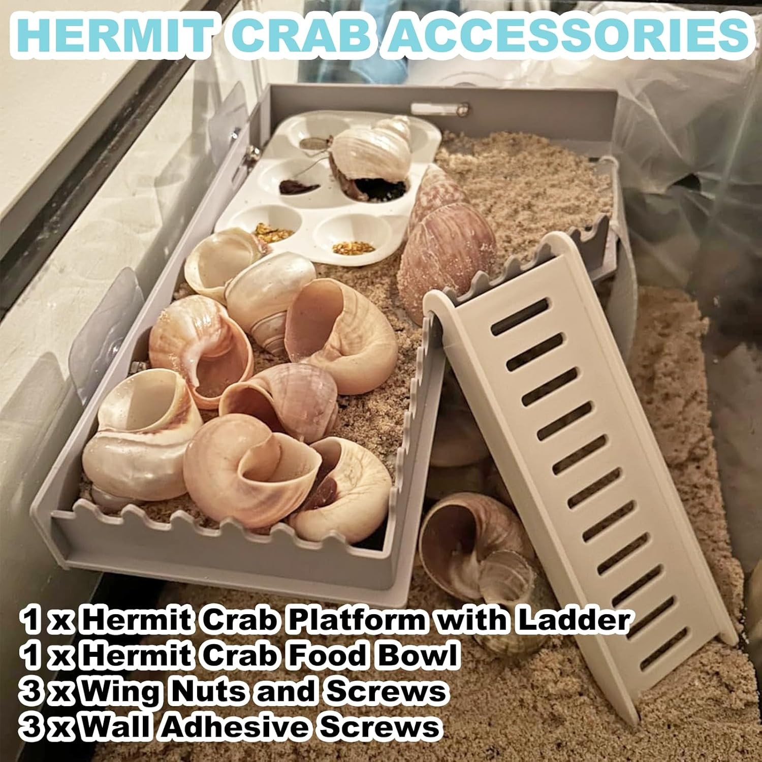 Hermit Crab Accessories - Platform with Ladder and Food Dish, Hermit Crab Climbi