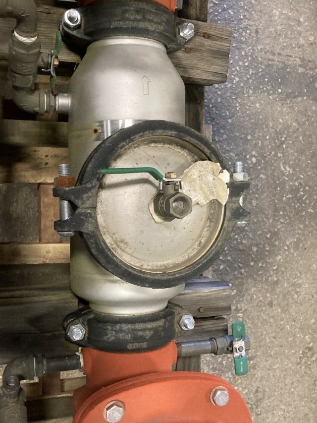 Wilkins 4" Double Check Protector 250Psi, MDL48
