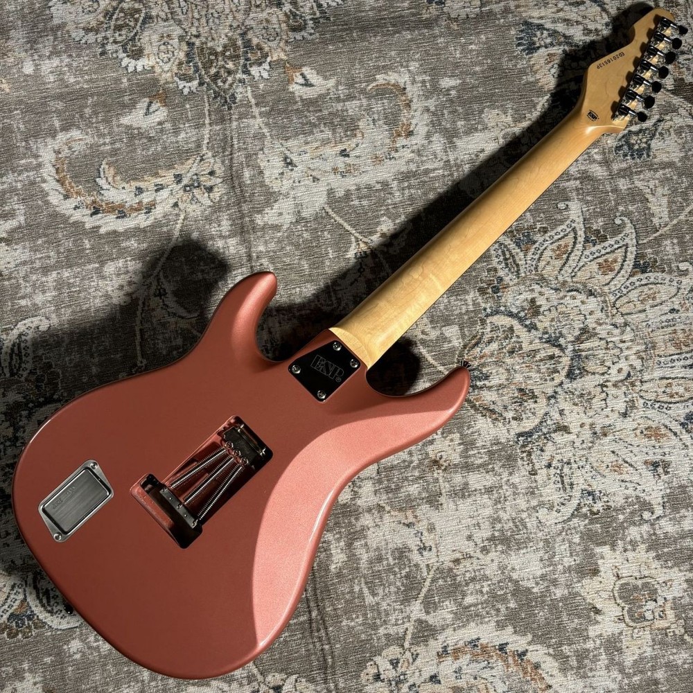 EDWARDS E-SNAPPER-7 Fuji Electric Gutiar [AUTH]