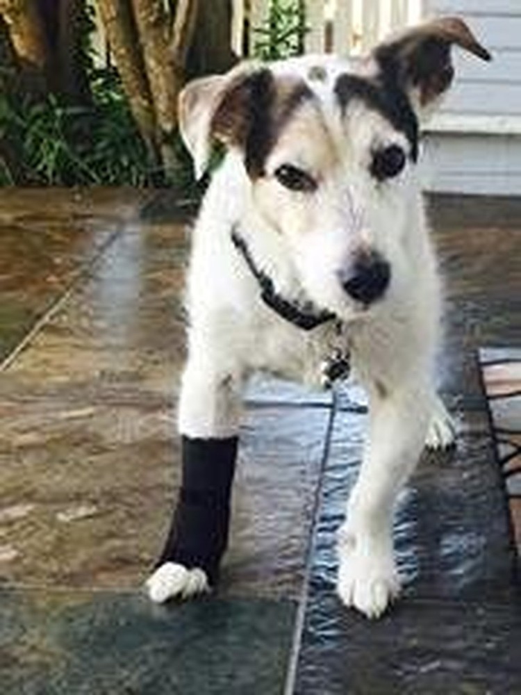 Carpal Wrist Wrap (medium 3"-4") medium 3"-4"