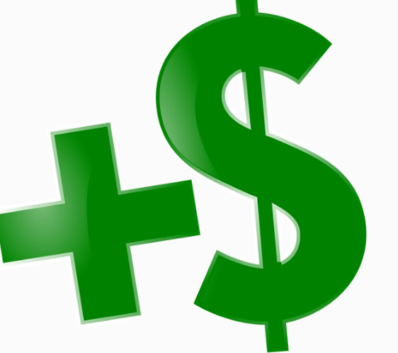 Additional shipping fee for SPEEDPAK [Lsize]