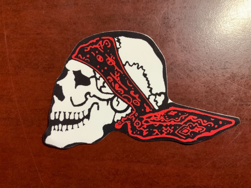 Motorcycle Sticker for Helmets or toolbox #2,036 Skull with Bandana right