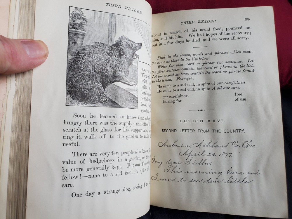 1877 Appletons' School Readers - Third Reader (Hardcover)(149 YEARS OLD!)
