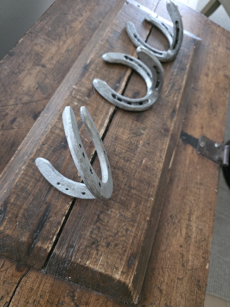 🔥 3 Cast Iron "Horseshoe" Hooks