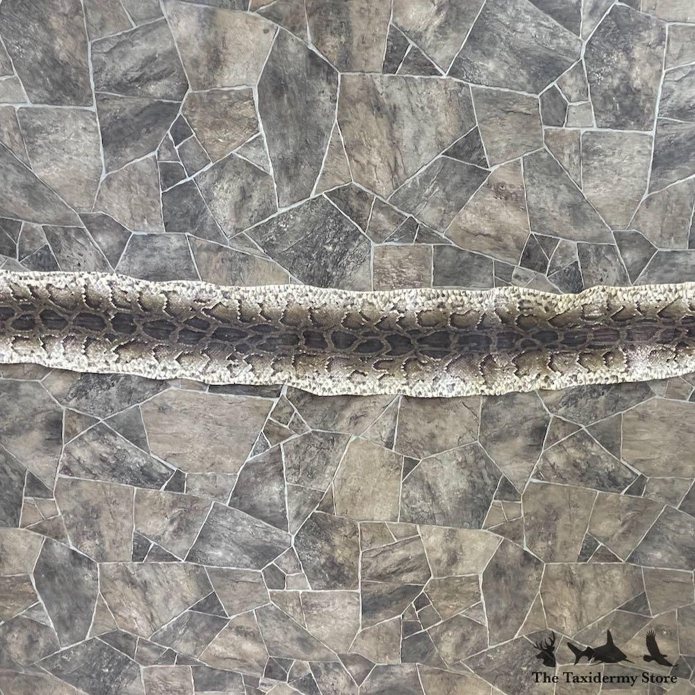 #26290 E | African Rock Python Snake Skin Rug Mount For Sale