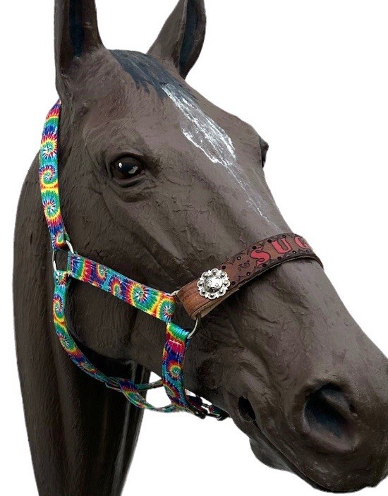 custom personalized nylon horse halter in all sizes in the TIE DYE pattern