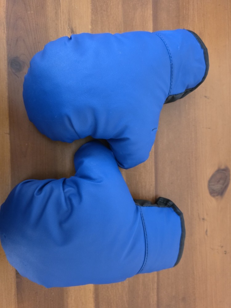 Little Kid Boxing Gloves