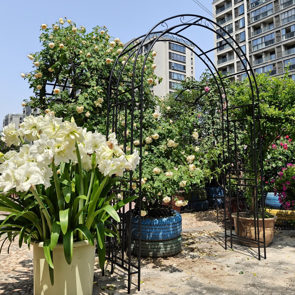 Black Metal Garden Arch 59x17.71x90.55 Inch Climbing Plants Support Rose Trellis