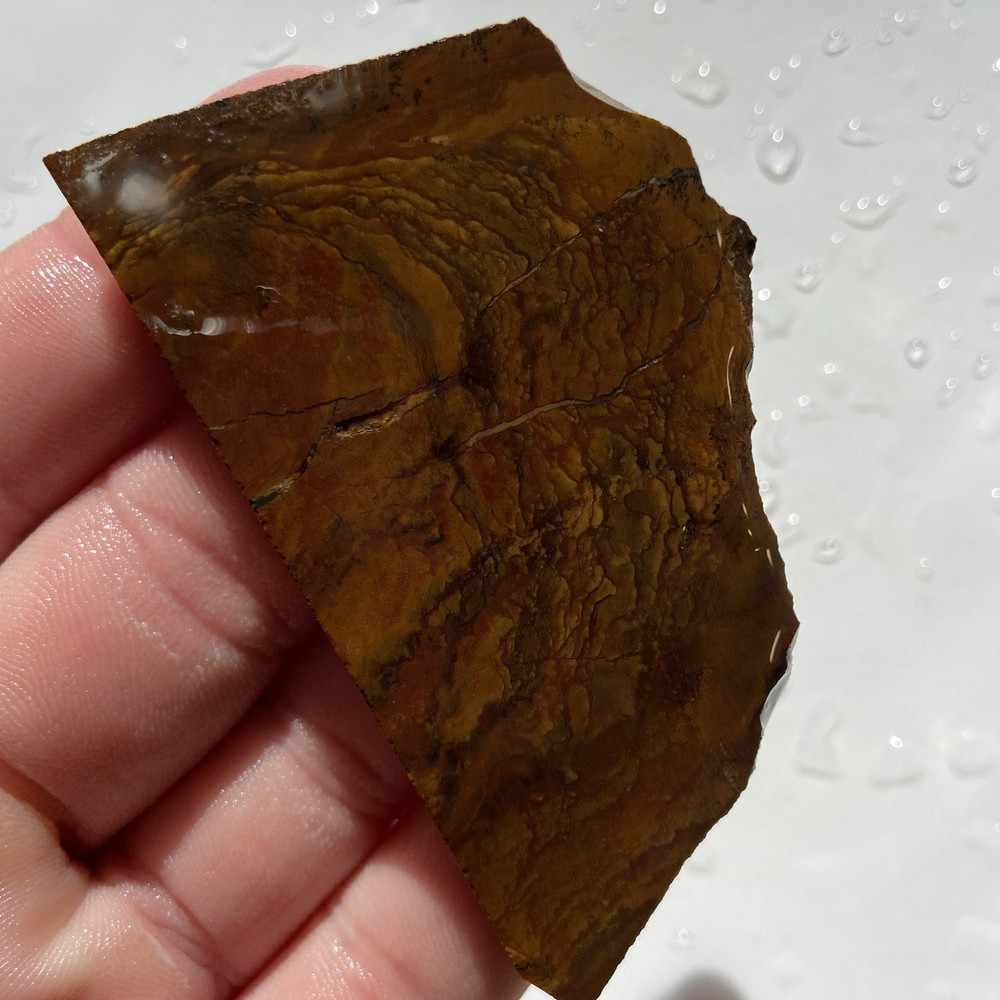 Biggs Scenic Jasper Lapidary Rough Slab