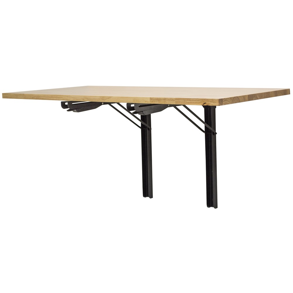 Sportsman WMFW Wall Mounted Folding Workbench