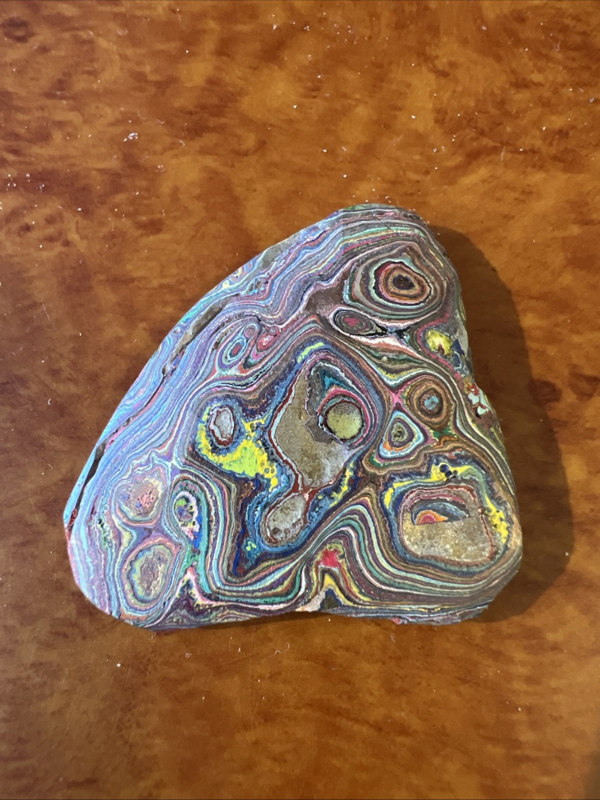 Cadillac Ranch Texas Fordite Rare Colors Motor City Agate Blanks Cabbing