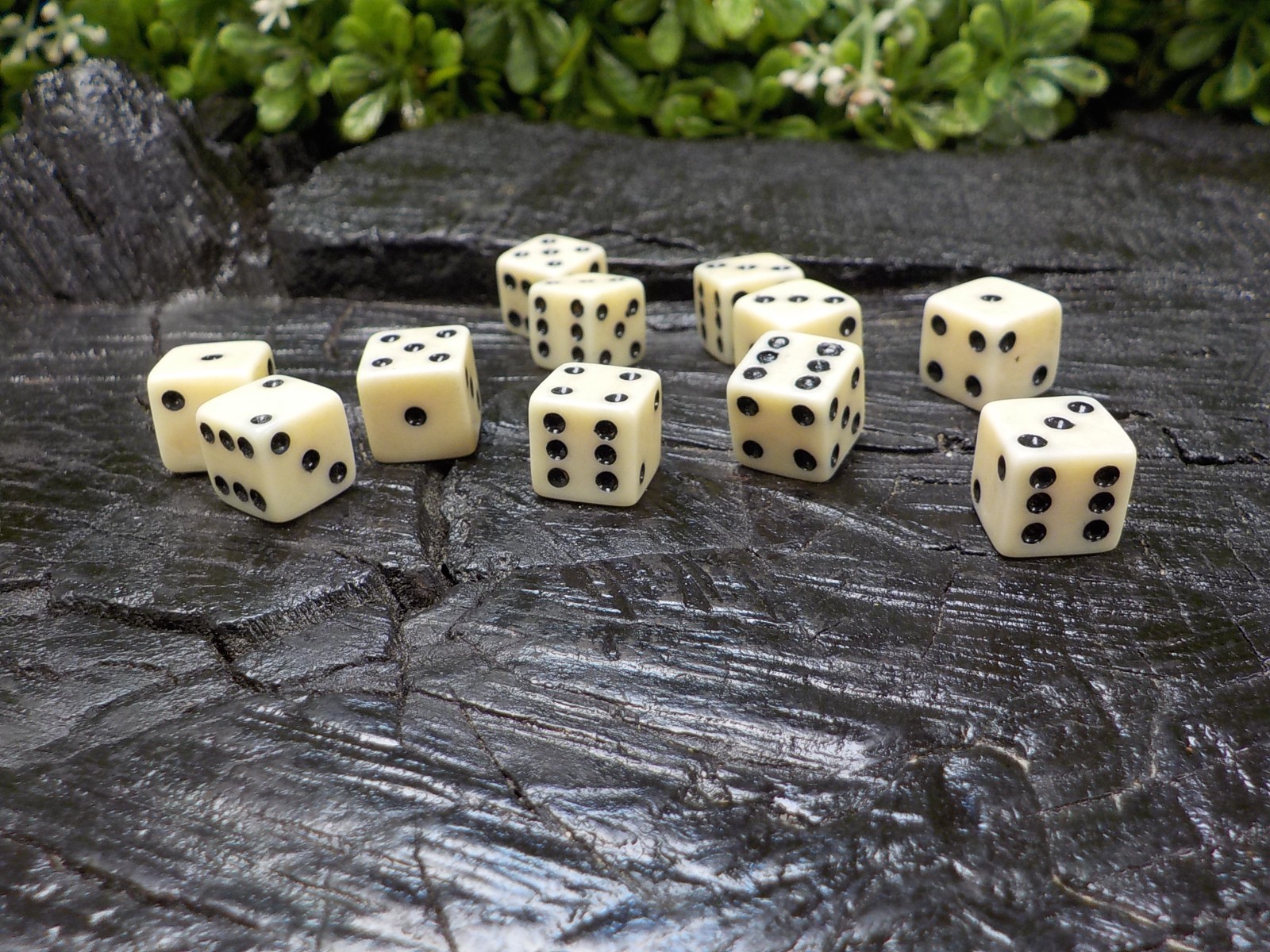 Old Rare Vintage Antique Civil War Relic Bone Dice Extremely Rare with Free Case