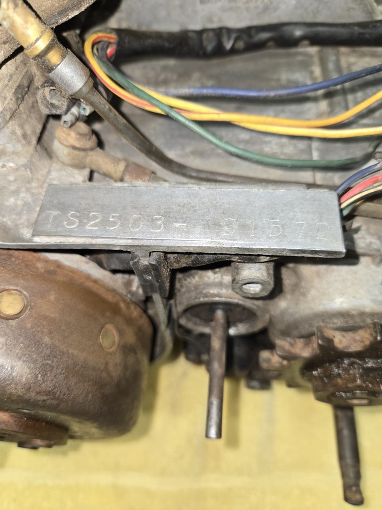 73 Suzuki TS 250 TS250 engine motor