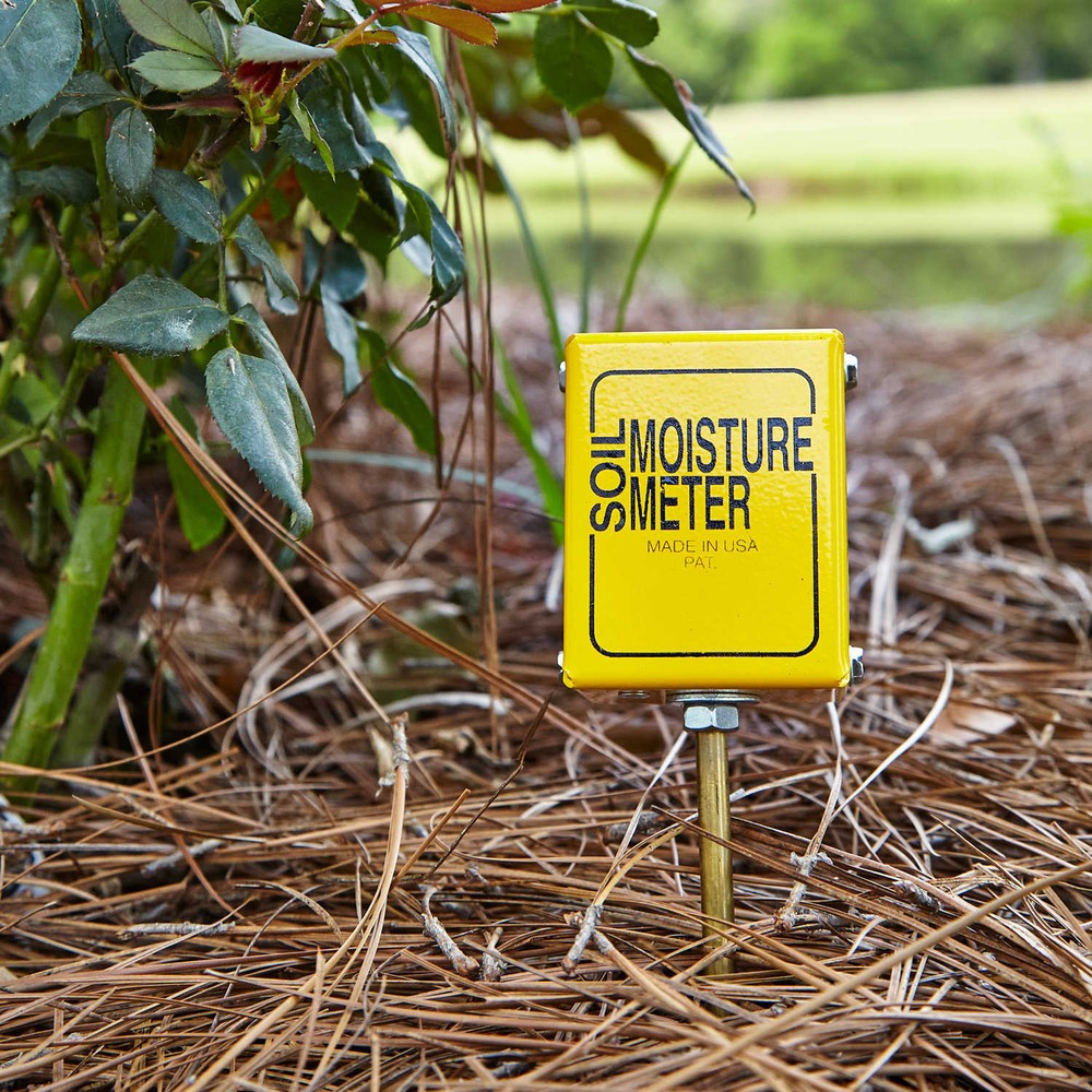 Lincoln Soil Moisture Meter with 9” Probe