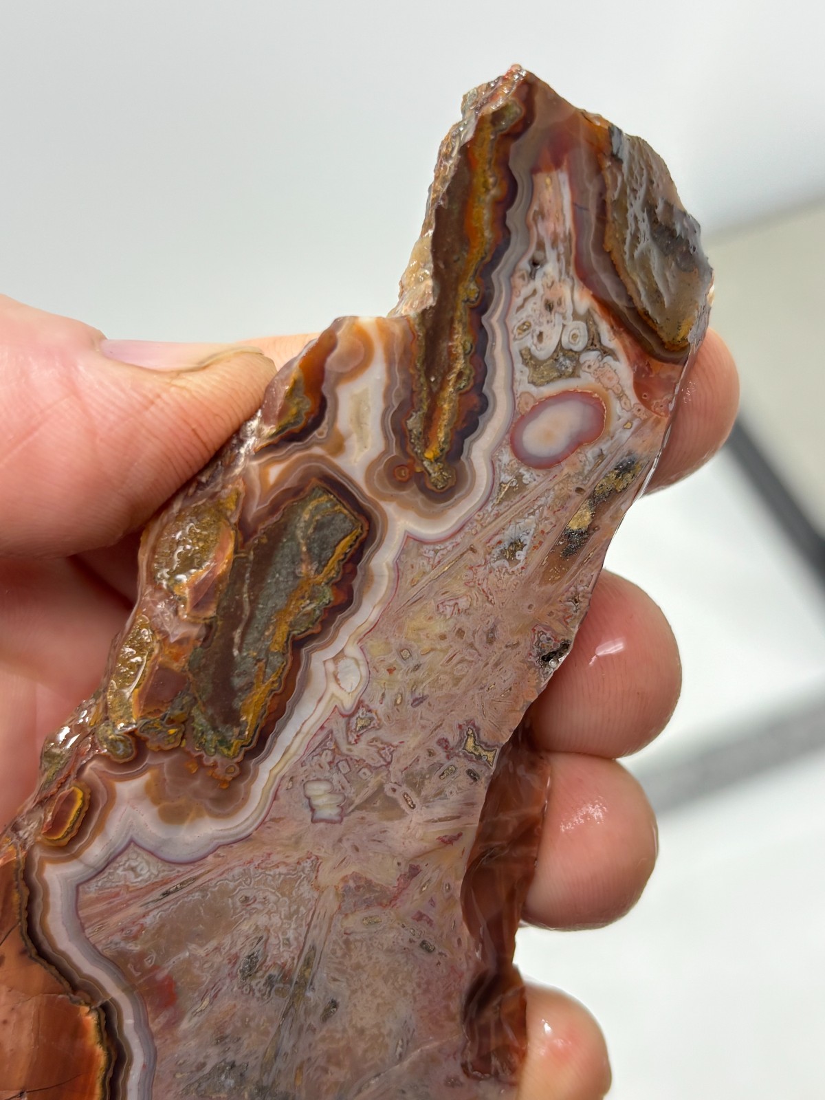 Turkish Stick Agate slab Cabbing Lapidary Collecting Combo Ship avail