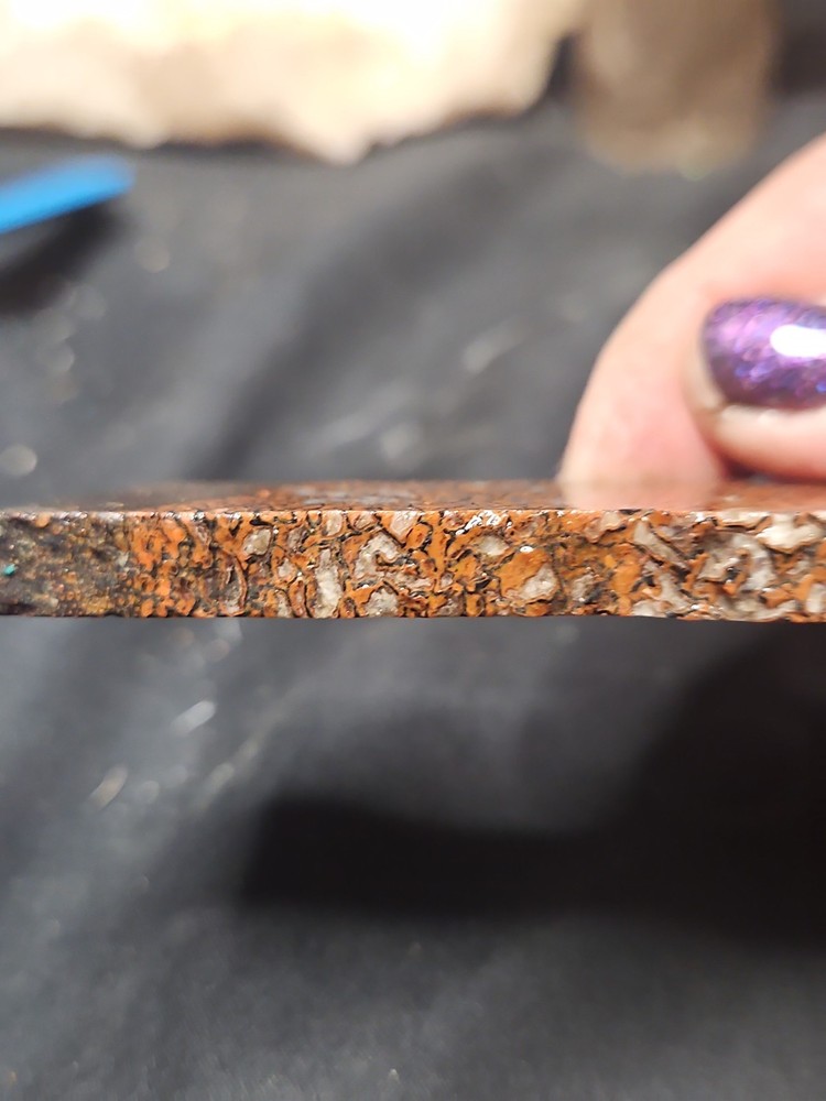 Gem Bone W/ Crystallization Slab Specimen (51.9 Grams)