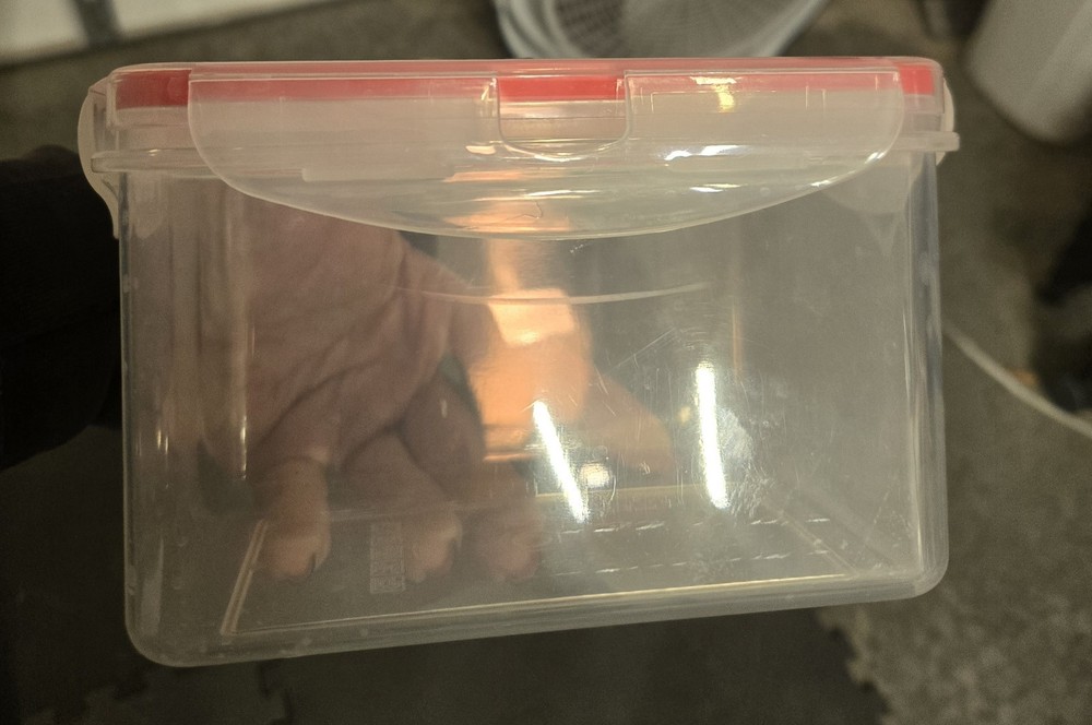 Fitmark Backpack with Removable Insulated Lunchbox