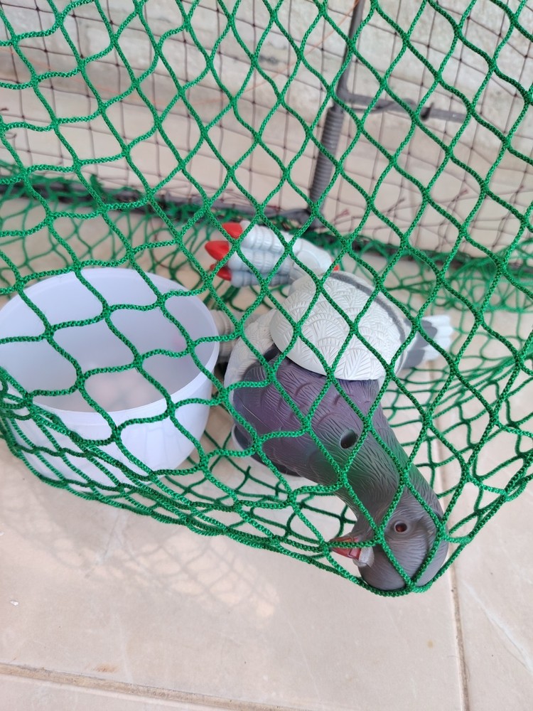 Humane Birdwatching Tool - Large Steel Cage Net for Nature Study & Safe Catch
