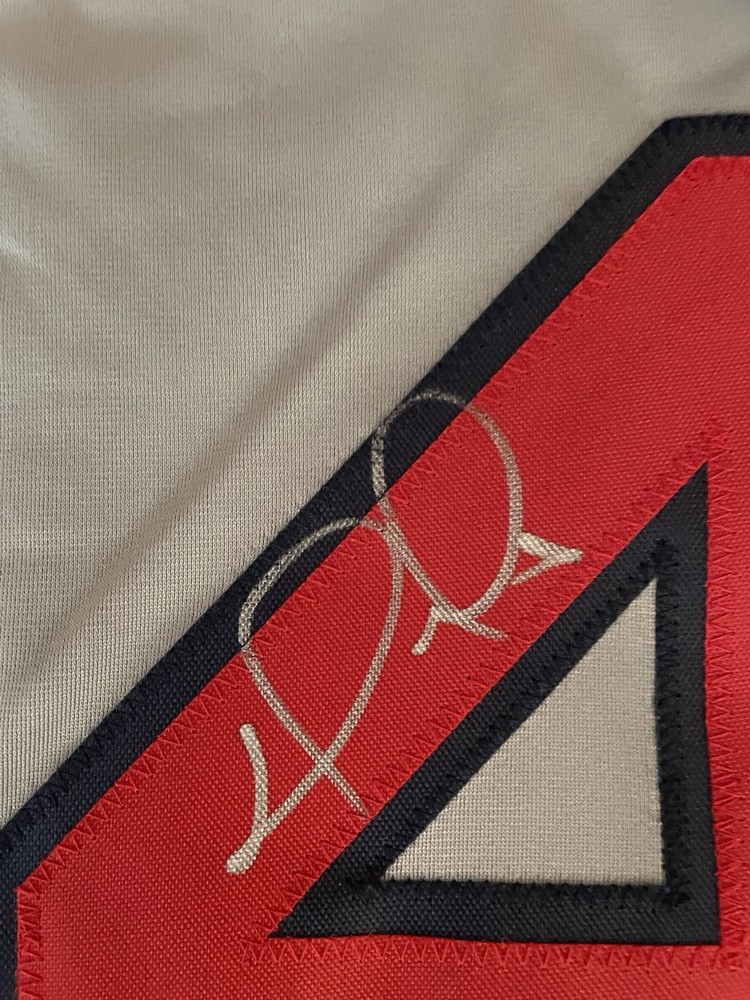 DAVID ORTIZ BIG PAPI Signed Gray Boston Red Sox Custom Jersey COA Auto NICE! 🔥