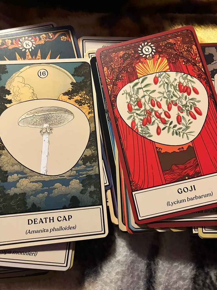 Tarot Reading Quick Response via message with photo - 1 question