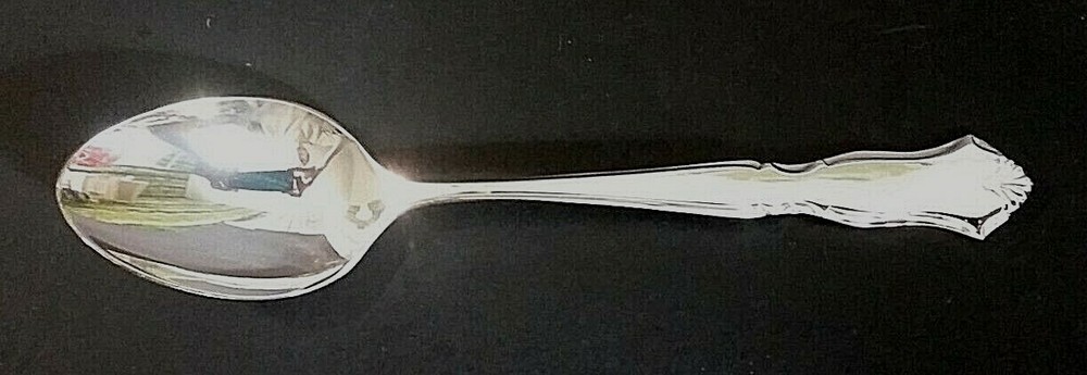 International Chadwick Silverplate 6 1/8" teaspoon