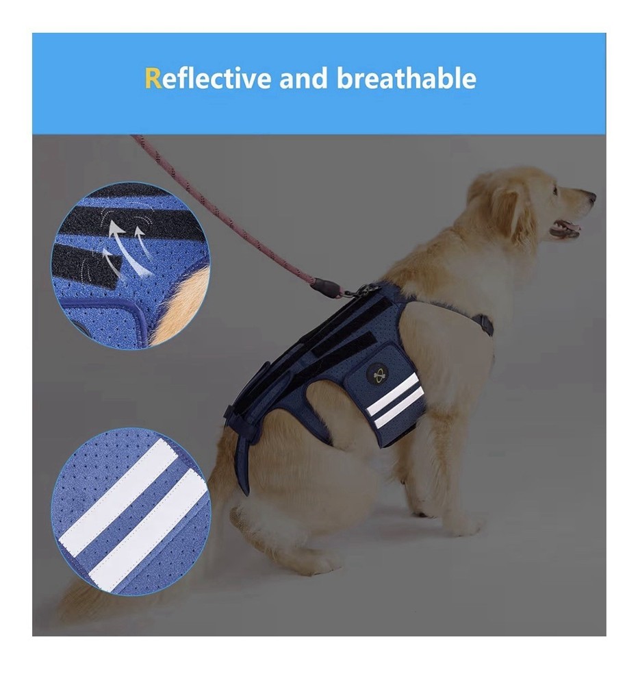 Coodeo Dog Back Brace Support Harness Reflective Breathable - Medium