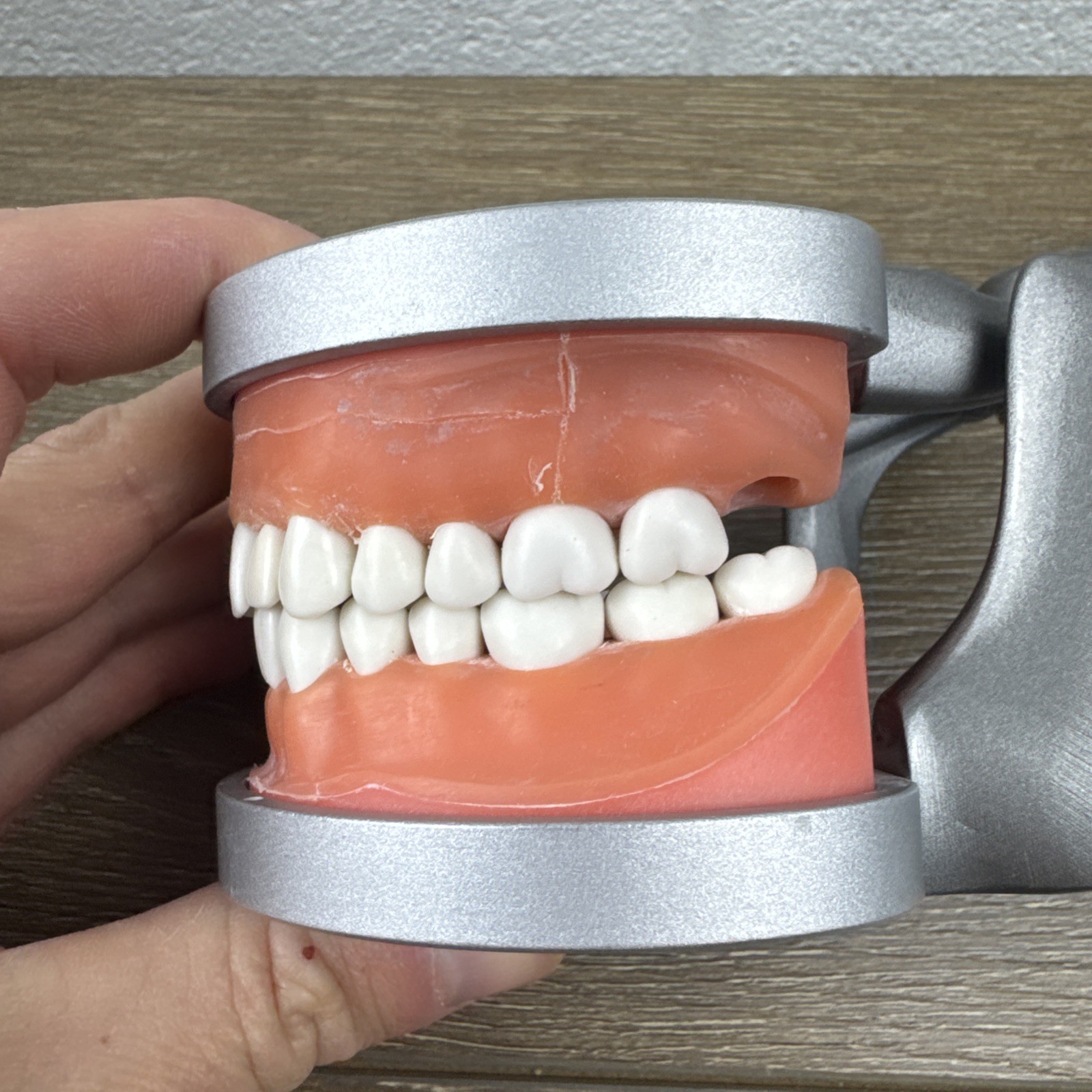 Acadental ModuPRO MP_R320 Restoration Typodont & Case WREB CDCA ADEX Teeth #58