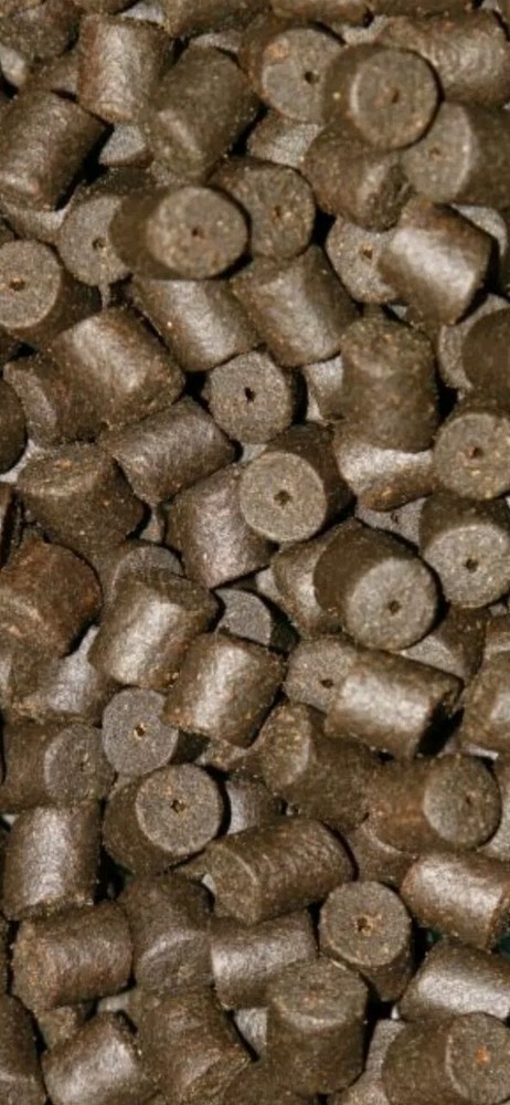 1kg 8mm Predrilled Halibut