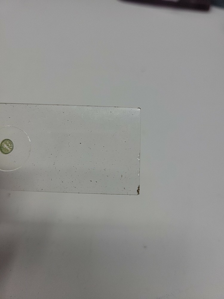 Vintage Microscope Slide 1941