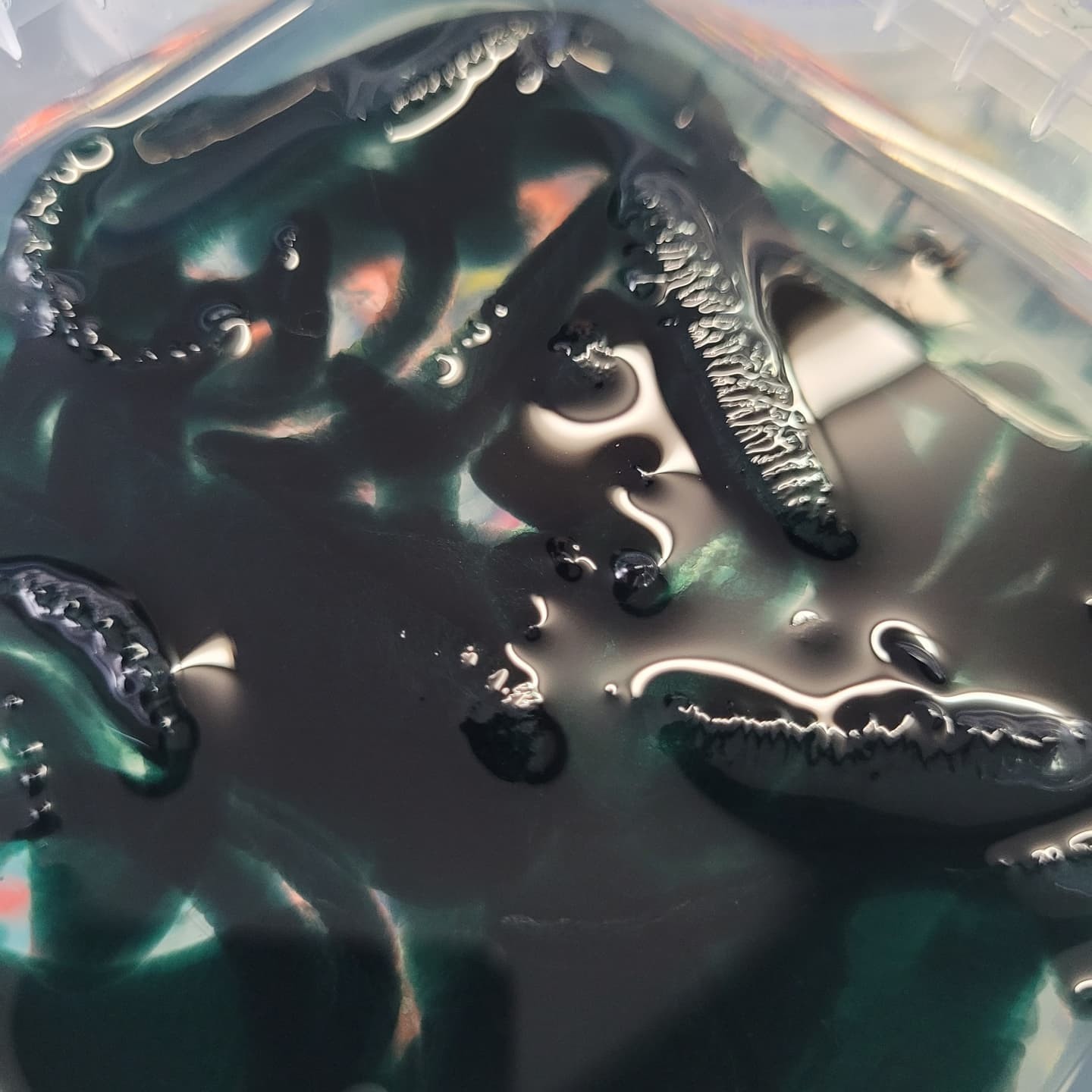 Bestbait Bio Frogs 3 Pack Looks and Fishes like real frogs