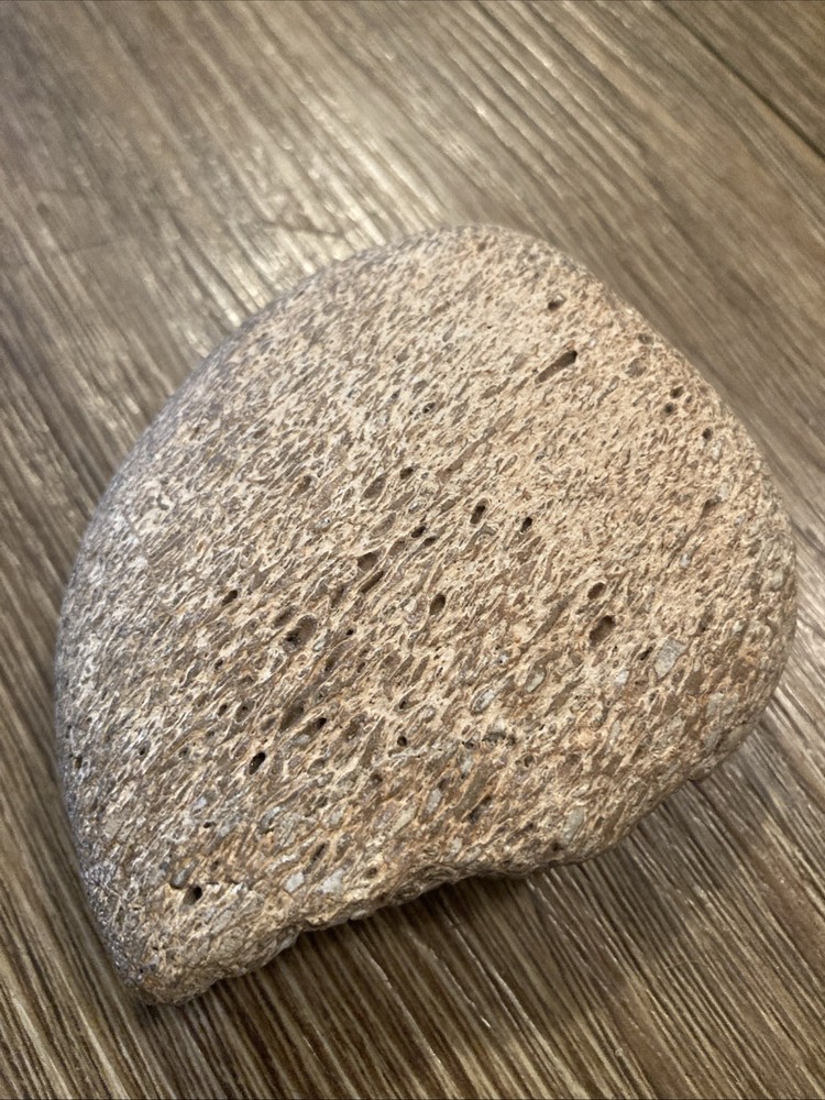 Fossilized Whale Bone Specimen Rough