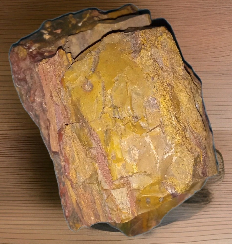 Petrified Wood w Bark Rough 342g