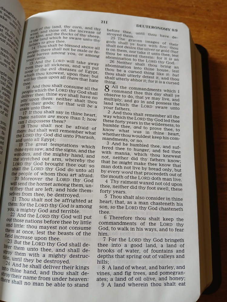 Holy Bible, Cornerstone Edition - NOS