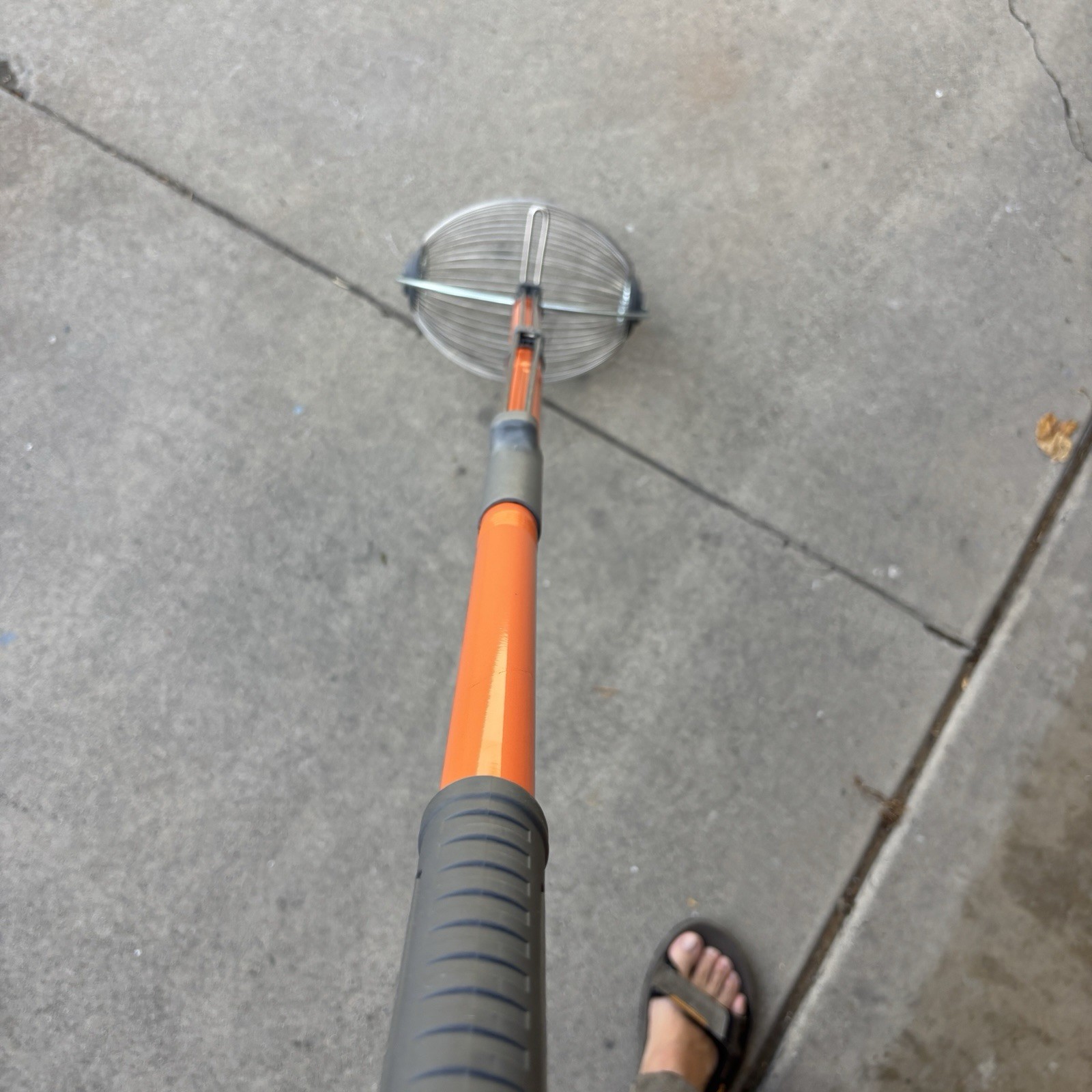 Nut Gatherer Pecan Acorn Golf Ball Harvester Garden Roller Picker