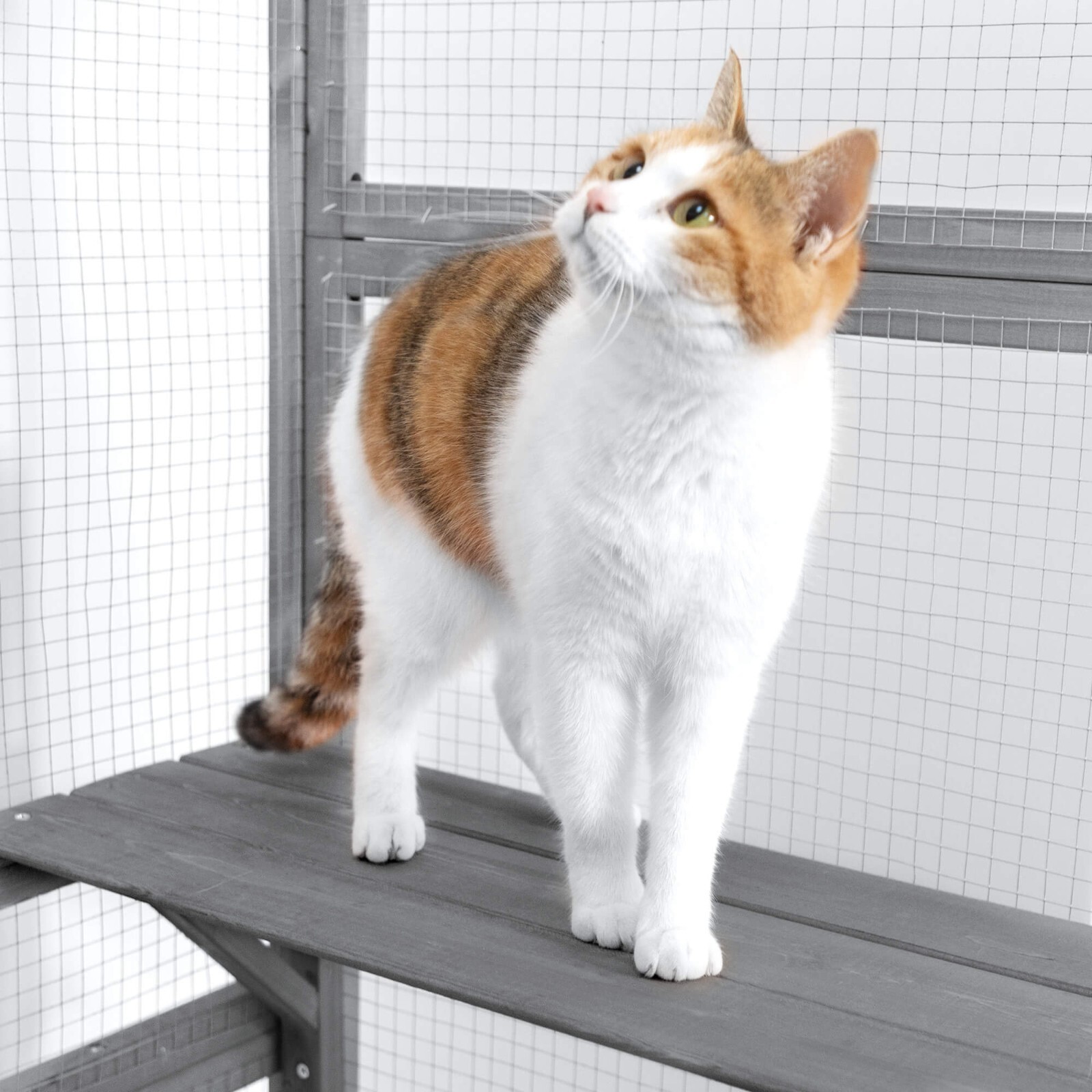 4-Tier Cat Playpen Outdoor Cat House Catio Enclosure with Resting Box, Platforms