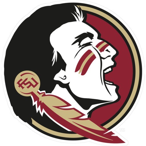 FSU FLORIDA STATE Large 12" Seminole Auto MAGNET
