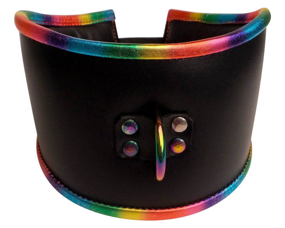 Rainbow Padded Leather Lockable Posture Collar - CuffStore