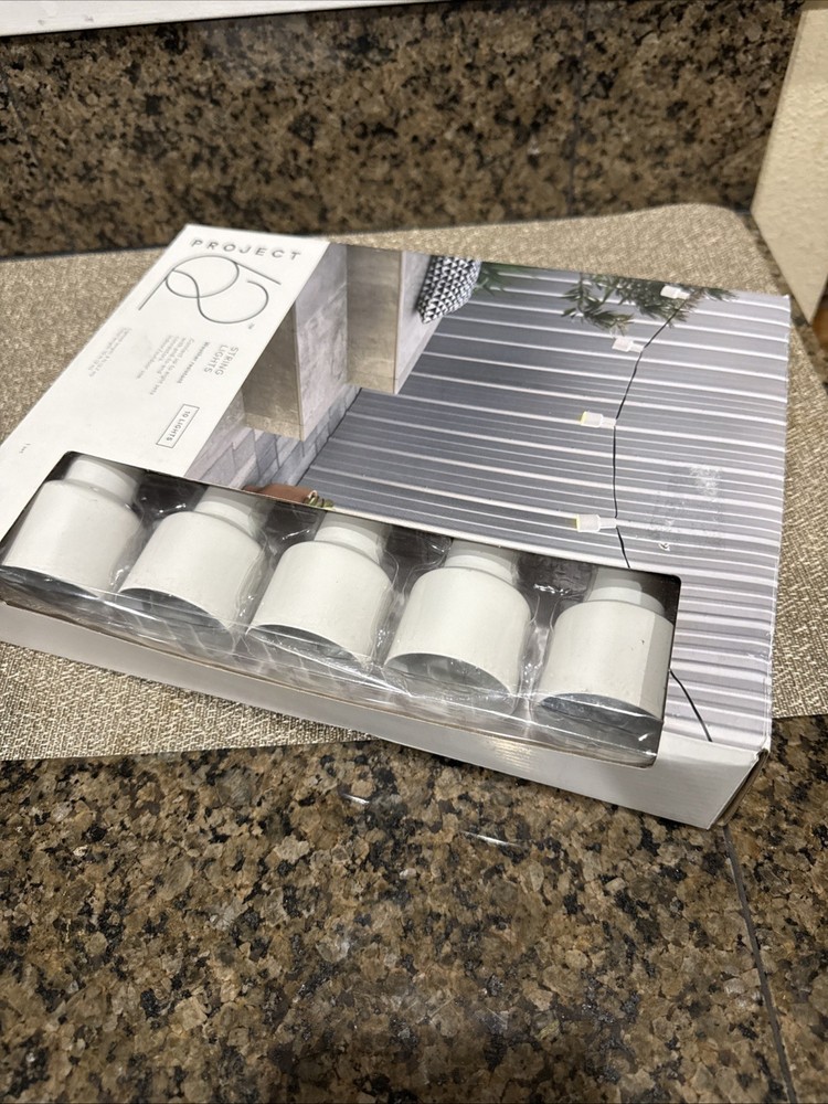 🧷 Project 62 10 counts Incandescent Outdoor/Indoor String Lantern Lights-White