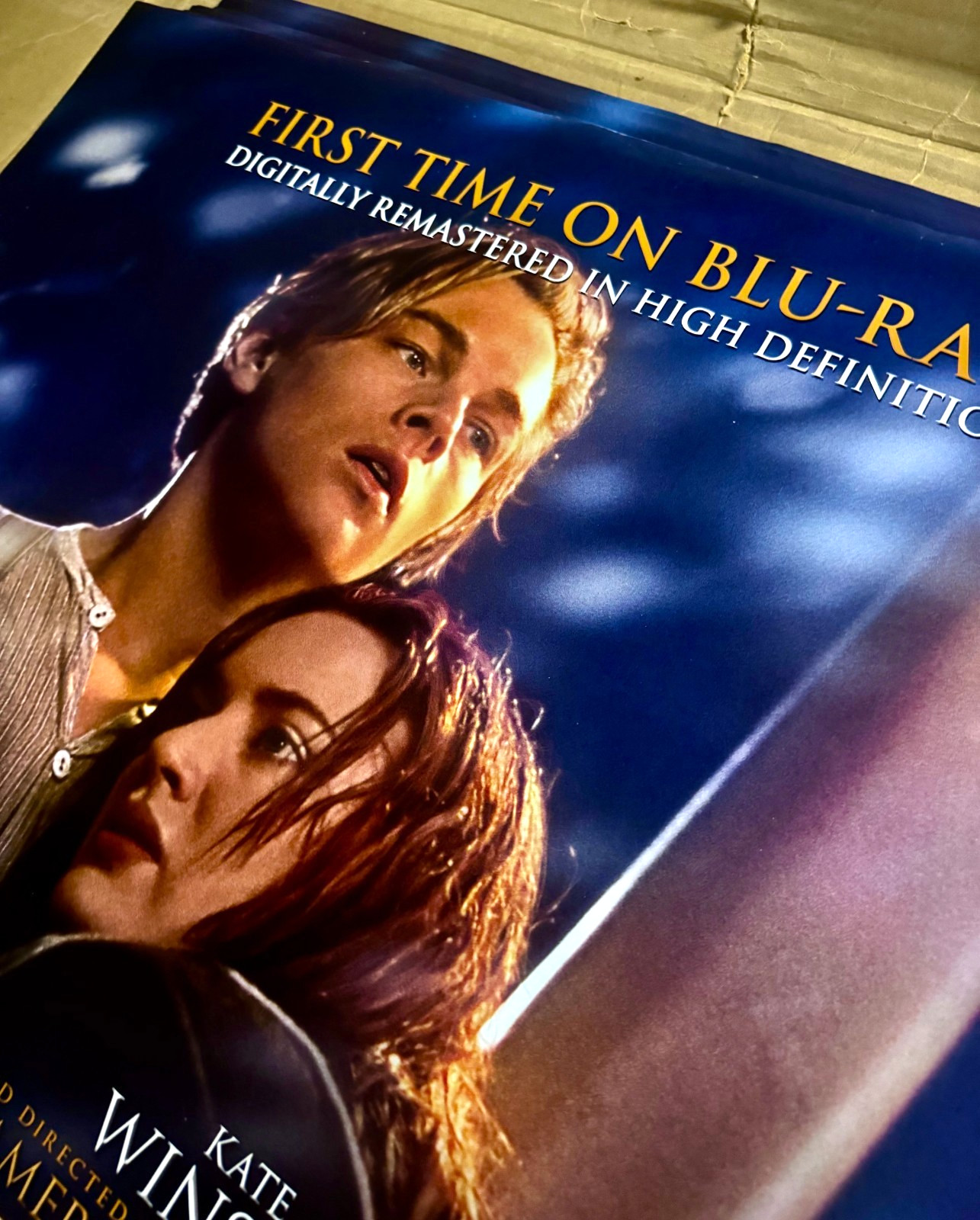 Titanic the Movie - Video Store Movie Poster - NEW - Original - 27" x 40" - READ